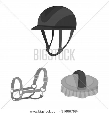 Isolated Object Of Race And Horse Icon. Set Of Race And Racing Vector Icon For Stock.