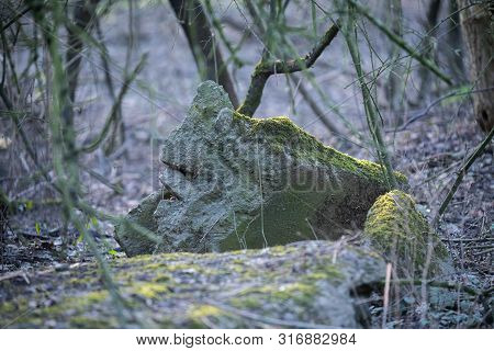 Focused Motifs Can Be Found During A Walk Through Nature