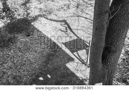 A High Altitude In A Natural Forest