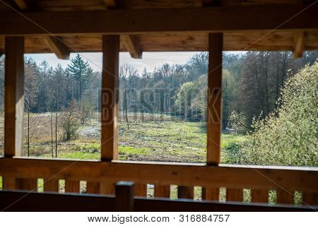 A High Altitude In A Natural Forest