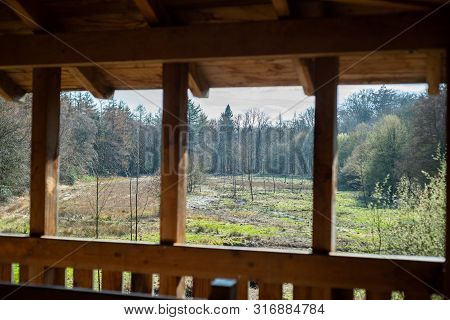 A High Altitude In A Natural Forest