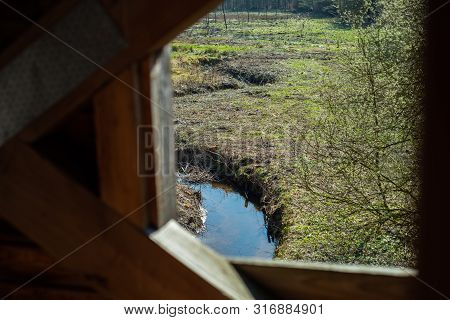 A High Altitude In A Natural Forest