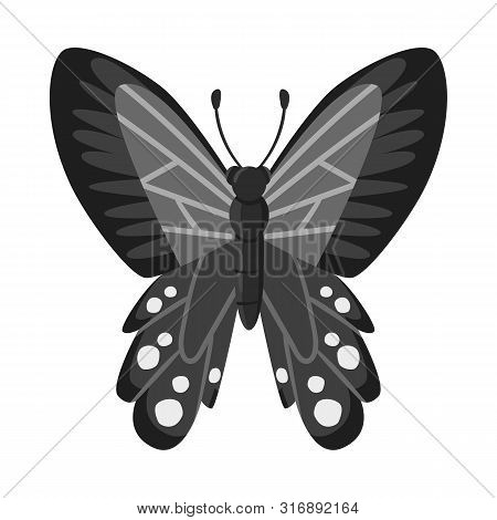 Vector Design Of Butterfly And Blue Icon. Set Of Butterfly And Ecology Stock Symbol For Web.