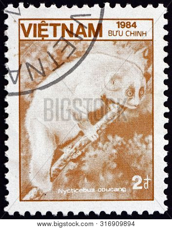Vietnam - Circa 1984: A Stamp Printed In Vietnam Shows Sunda Slow Loris (nycticebus Coucang), Is A P