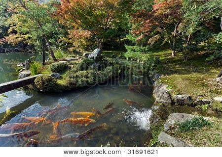 Tenryuji tempel zen haven med koi karper, Kyoto, Japan