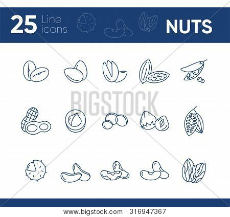 Nuts Icons. Set Of Line Icons On White Background. Cocoa Bean, Brazil Nuts, Soy Nuts. Dieting Concep