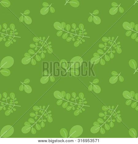 Green Moringa Oleifera Leaves Vector Cartoon Seamless Pattern Background.