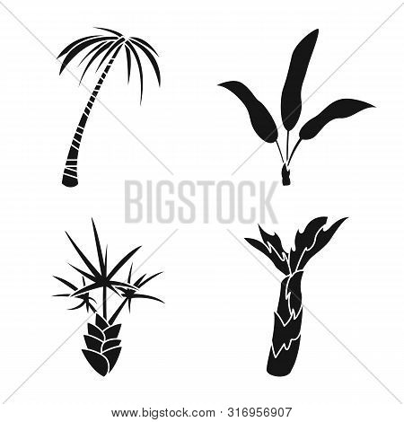 Vector Design Of Travel And Ecology Symbol. Set Of Travel And Beach Vector Icon For Stock.