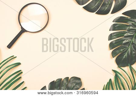 Beautiful Shiny Artificial Monstera Palm And Tropical Leaves And Big Magnifying Glass On Pastel Back