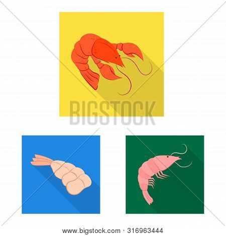 Vector Design Of Appetizer And Seafood Symbol. Set Of Appetizer And Ocean Vector Icon For Stock.