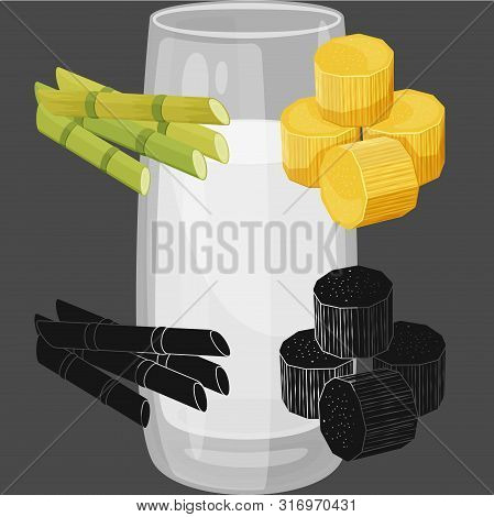 Vector Design Of Farm And Agriculture Logo. Set Of Farm And Technology Vector Icon For Stock.