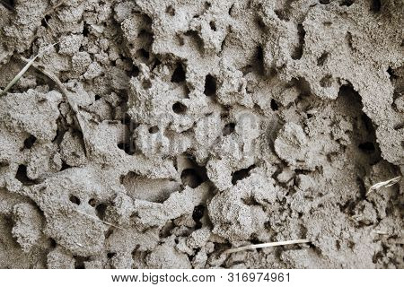 Closeup Of Anthill Holes In A Sand, Natural Background