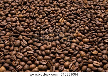 Dark Roasted Ready Fresh Coffee Beans In Bulk