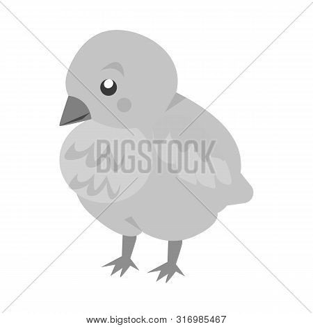 Vector Design Of Baby And Chick Logo. Collection Of Baby And Animal Vector Icon For Stock.