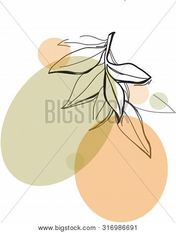 One Line Drawing Vector Photo Free Trial Bigstock