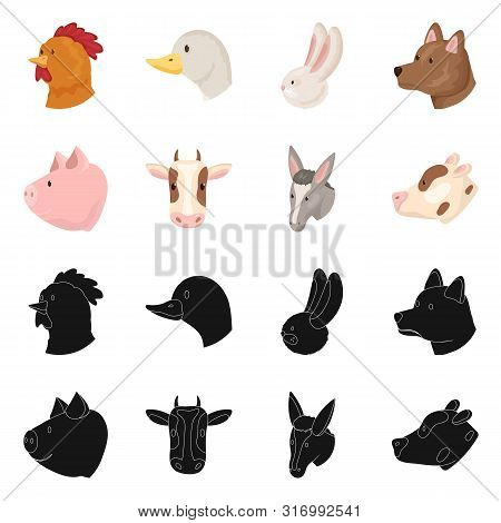 Vector Illustration Of Agriculture And Breeding Icon. Set Of Agriculture And Organic Vector Icon For