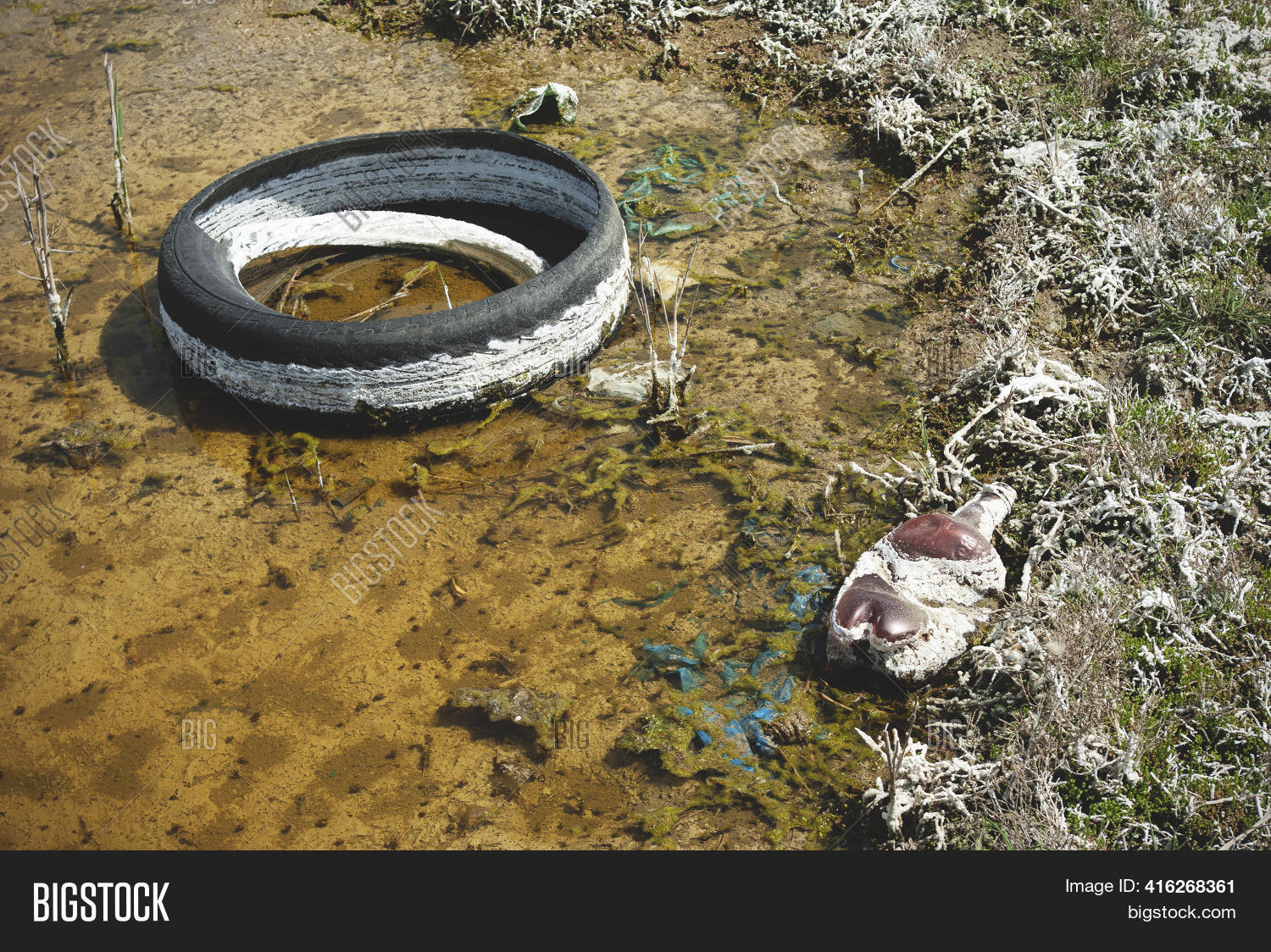 Thrown Away Tire Image & Photo (Free Trial) Bigstock
