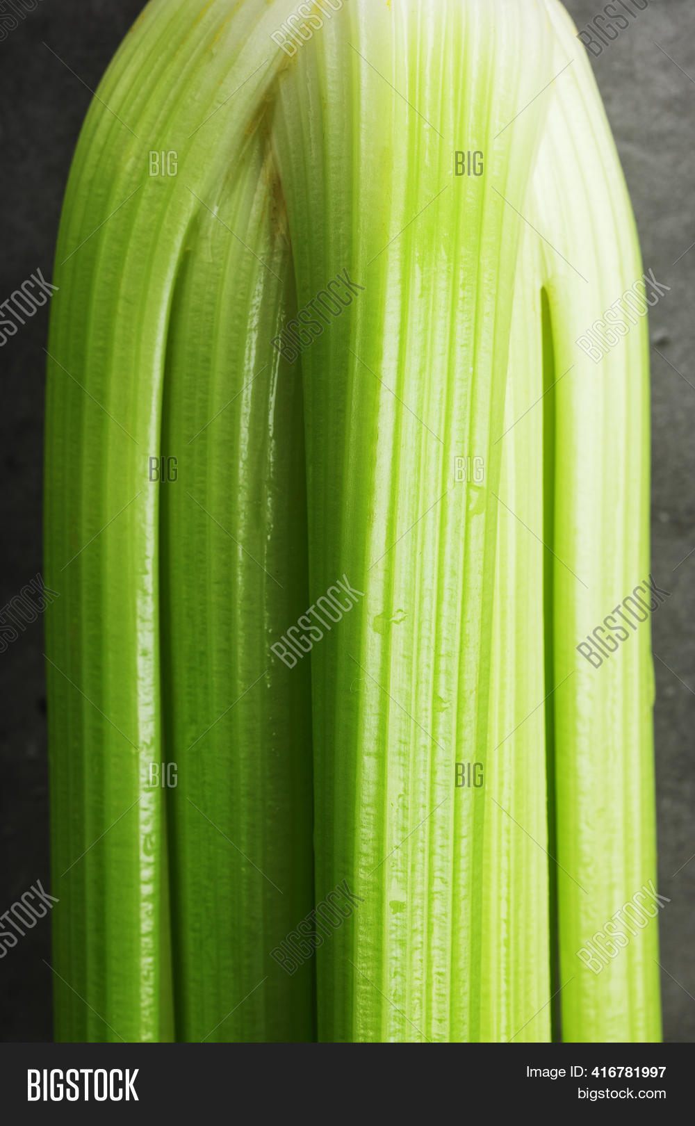 Green Stalks Celery Image & Photo (Free Trial) Bigstock