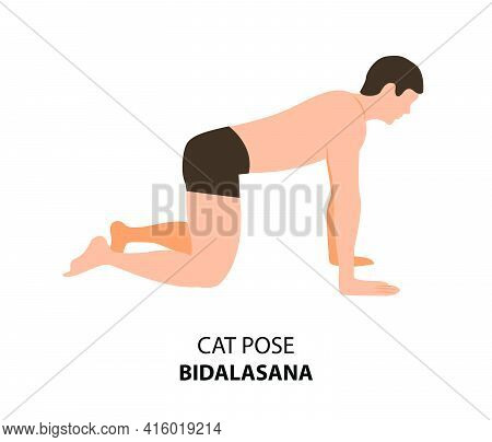 Man Practicing Yoga Pose Isolated Vector Illustration. Man Standing In Cat Pose Or Bidalasana, Yoga 