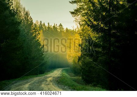 A Beautiful Scenery Of An Old Road Leading Through The Spingtime Forest. Spring Landscape Of A Fores