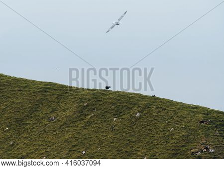 Kalsoy Island With Kallur Lighthouse On On Faroe Islands, Denmark, Europe. Clouds Over High Cliffs, 