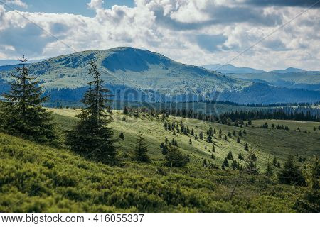 A Herd Of Sheep Grazing In A Field With A Mountain In The Background