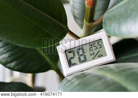 A Device For Measuring Humidity And Temperature And A Plant So Close