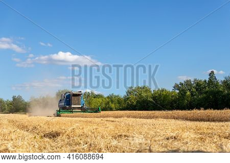 Scenic Landscape Of Ripe Golden Organic Wheat Stalk Field Against Blue Sky On Bright Sunny Summer Da