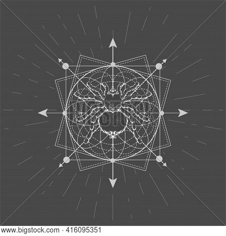 Vector Illustration With Hand Drawn Spider Tarantula And Sacred Geometric Symbol On Black Background