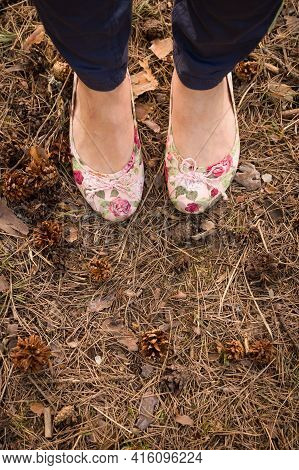 Top View Of The Legs Of A Young Woman In Jeans And Pumps. Dry Spruce Needles And Cones Lie On The Gr
