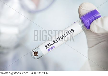 Doctor In Rubber Gloves And Mask Examines Through A A Test Tube With A Tick. The Label Says Tick-bor