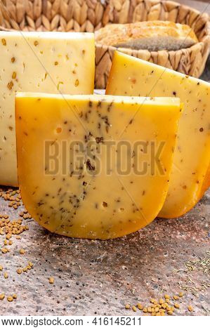 Cheese Collection, Pieces Of Hard Yellow Dutch Gouda Cheese With Dried Caraway, Mustard, Cumin, Fenu