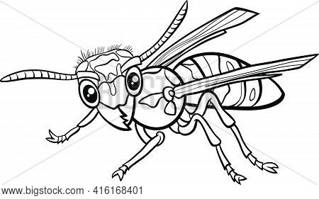 Black And White Cartoon Illustration Of Yellowjacket Or Wasp Insect Animal Character Coloring Book P