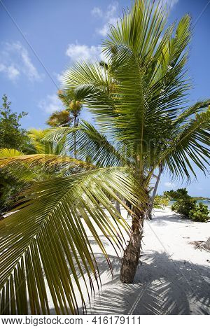 Morrocoy National Park, Paradise Islands With Coconut Trees, White Sand Beaches, Turquoise Ocean And