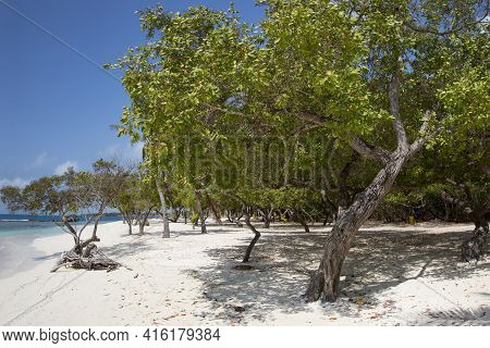 Morrocoy National Park, Paradise Islands With Coconut Trees, White Sand Beaches, Turquoise Ocean And