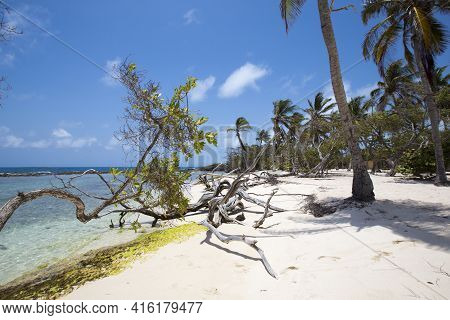 Morrocoy National Park, Paradise Islands With Coconut Trees, White Sand Beaches, Turquoise Ocean And