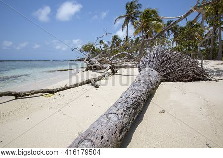 Morrocoy National Park, Paradise Islands With Coconut Trees, White Sand Beaches, Turquoise Ocean And