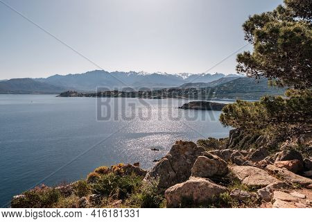The Bay Of Revellata In The Balagne Region Of Corsica With The Citadel Of Calvi And Snow Capped Moun