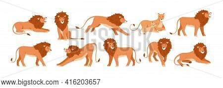 Set Of Lions, Lioness And Their Cub Resting, Lying, Standing, Roaring, Sitting And Walking. Jungle F