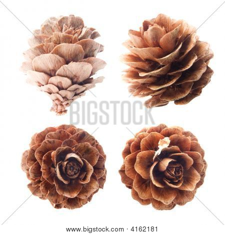 Cones