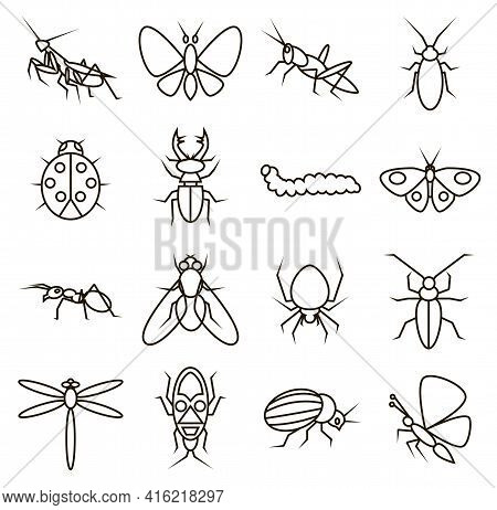 Black Line Icons On White Background Insects
