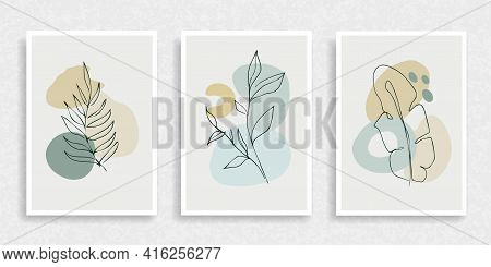 Botanical Wall Art Vector Set. Foliage Line Art Drawing With Abstract Shape. Abstract Plant Art Desi
