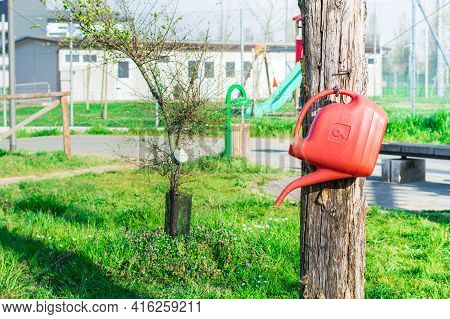 Pablic Watering Cans In The Park , Watering Trees
