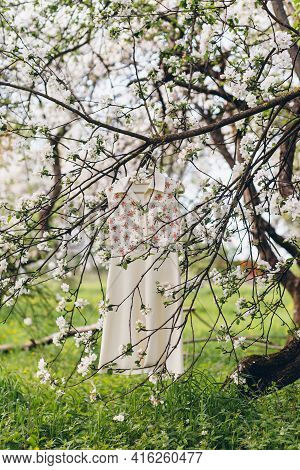The Dress Hangs On A Tree In A Blooming Apple Orchard