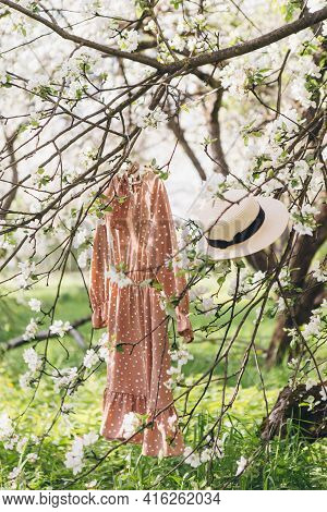 The Dress Hangs On A Tree In A Blooming Apple Orchard. Tonting.