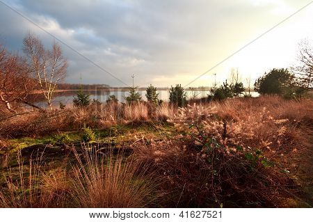 Bažiny v Dwingelderveld před západem slunce