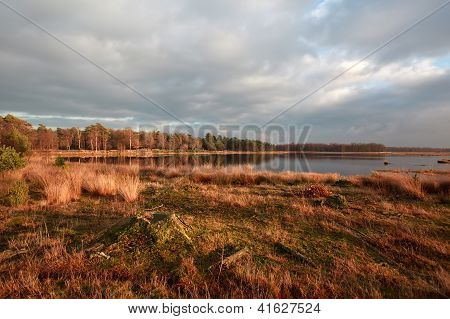 Jezero v Dwingelderveld při západu slunce