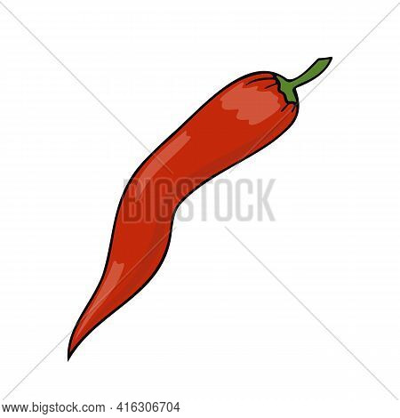 Vector Simple Illustration Of Red Chili Pepper