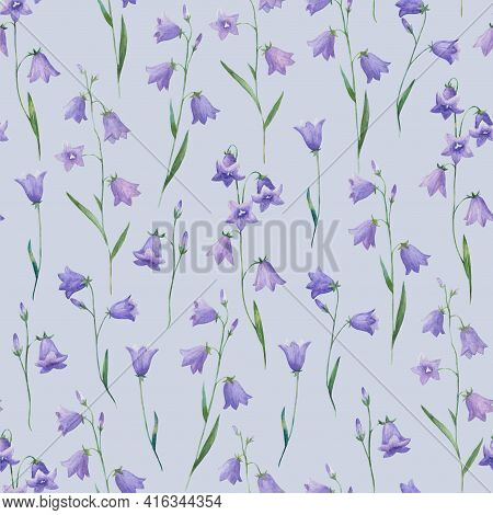 Watercolor Seamless Pattern With Realistic Hand Painted Bellflowers. Meadow Botanical Illustration.