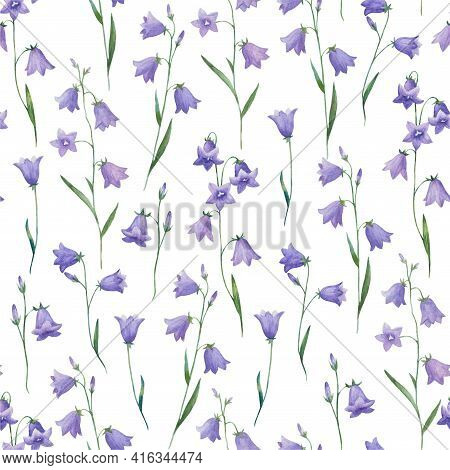 Watercolor Seamless Pattern With Realistic Hand Painted Bellflowers. Meadow Botanical Illustration.